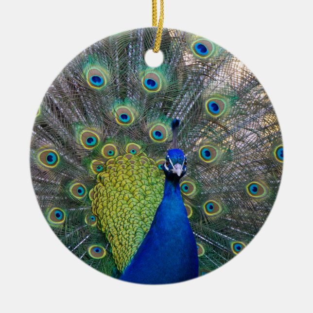 Peacock Christmas Ceramic Ornament (Front)