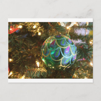 Peacock Christmas Holiday Postcard