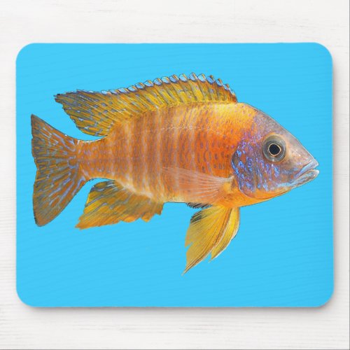 Peacock Cichlid Mouse Pad