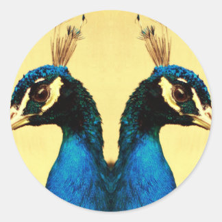peacock classic round sticker