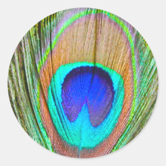 Peacock Classic Round Sticker