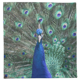 Peacock Cloth Napkins (set of 4) 12" x 12"