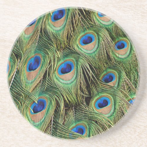 Peacock Coaster