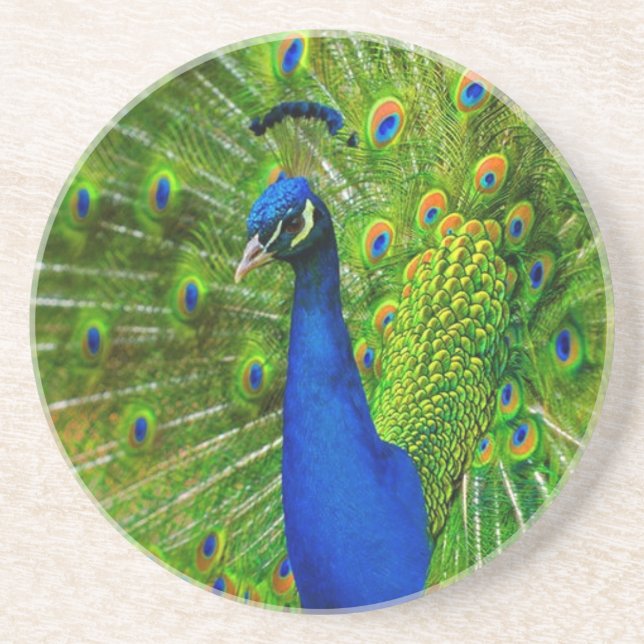 Peacock Coasters (Front)