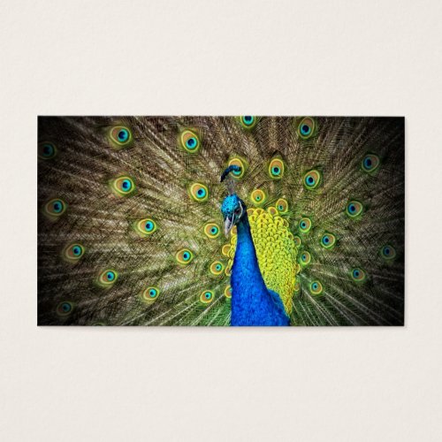Peacock Color Beauty Business Cards