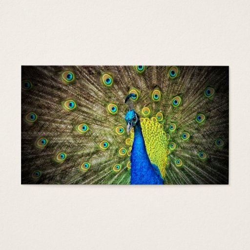 Customizable Peacock Color Beauty Business Cards