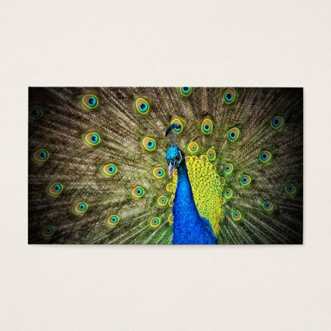 Peacock Color Beauty (Front)