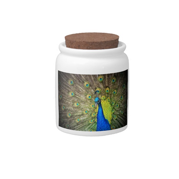 Peacock Color Beauty Candy Jar