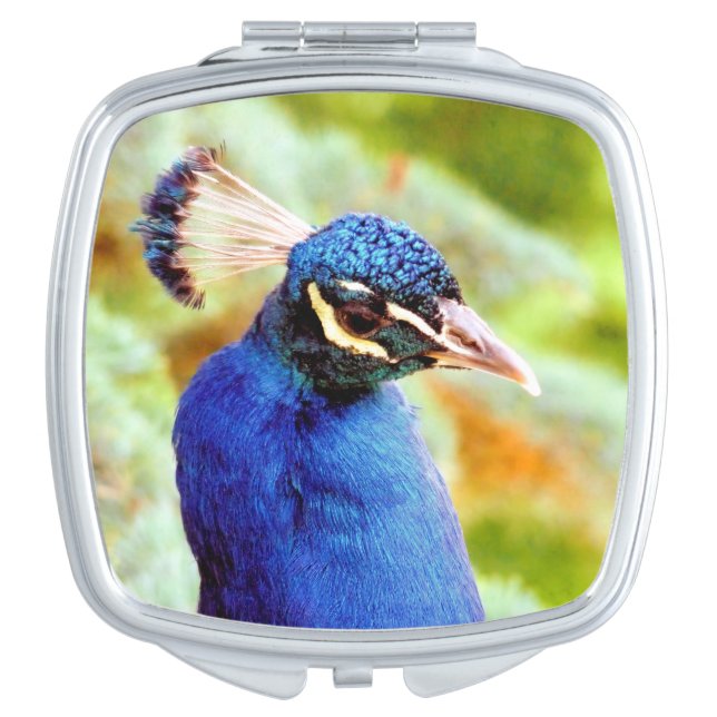 PEACOCK compact mirror (Front)