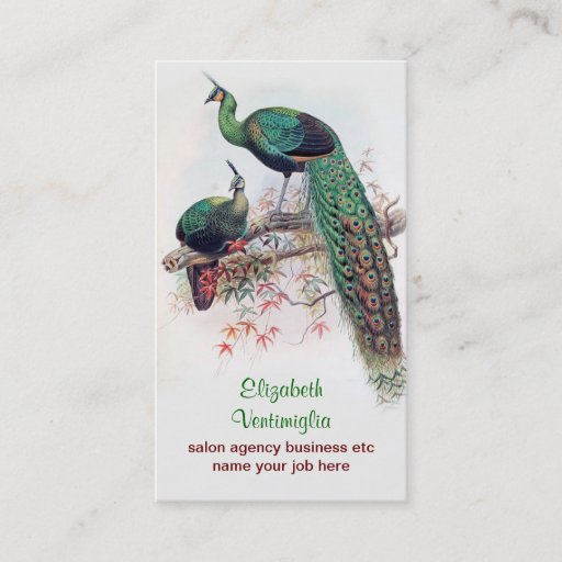 Customizable peacock couple business card