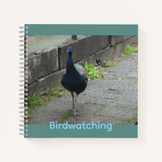 Peacock Cust. Text Birdwatching Notebook