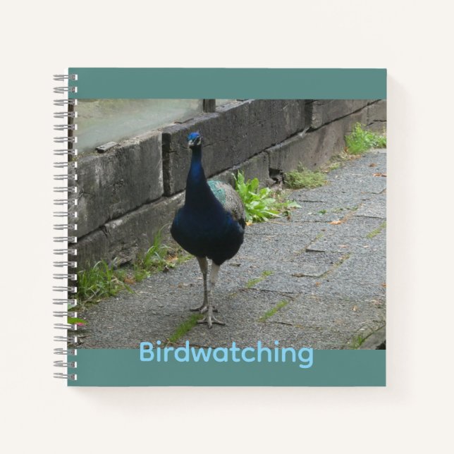 Peacock Cust. Text Birdwatching Notebook (Front)