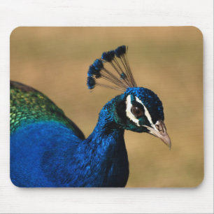 Peacock customizable mousemats & mousepad