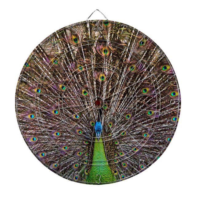 Peacock Dart Board (Front)