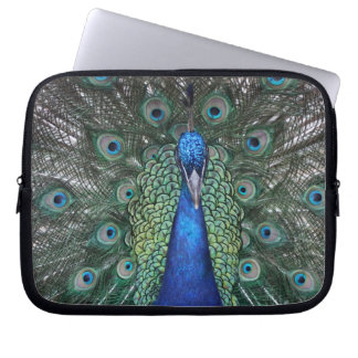 Peacock Daze Laptop Sleeve