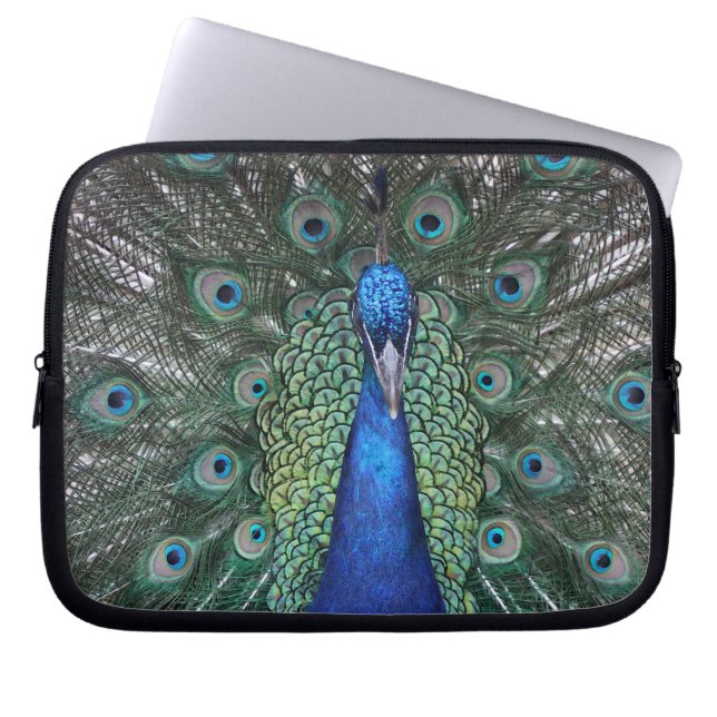 Peacock Daze Laptop Sleeve (Front)
