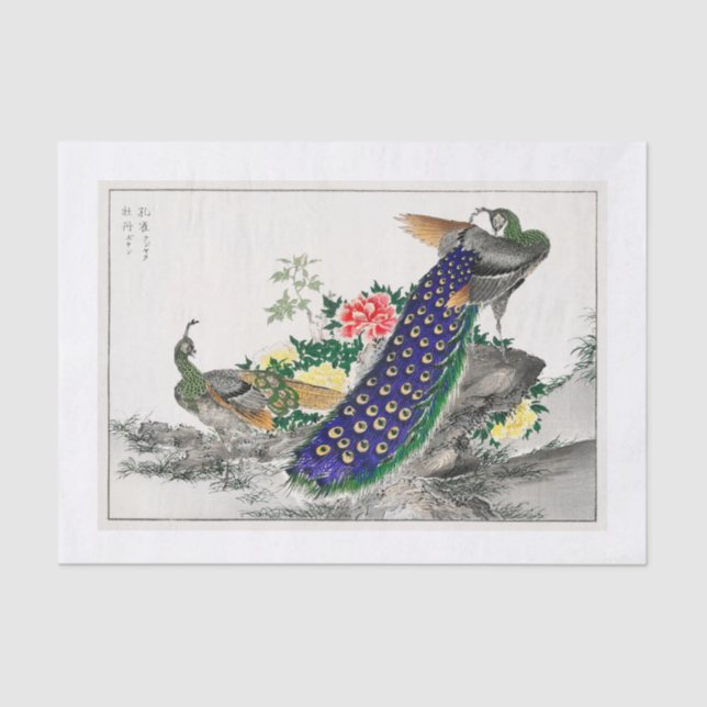 Peacock decoupage paper (Front)