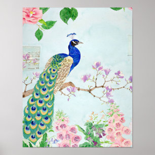 Peacock Design Cute Peacock Lovers Clolorful Poster
