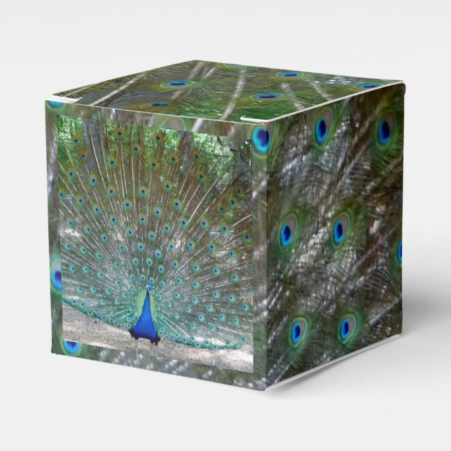 Peacock Design Party Favor Boxes (Front Side)