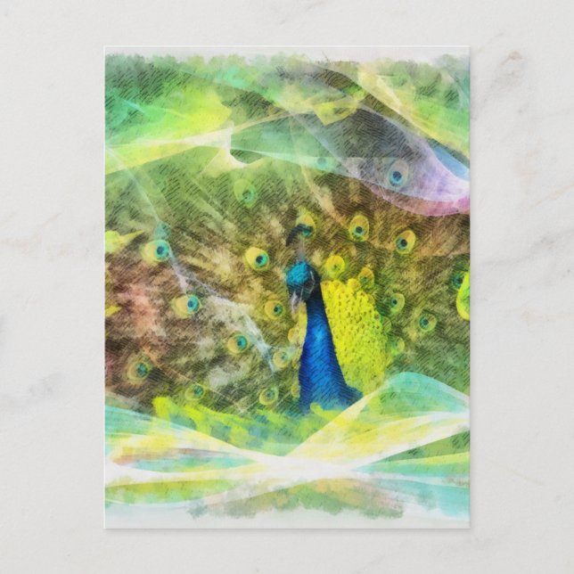 Peacock Digital Painting Postcard (Front)