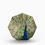 Peacock Display Award<br><div class="desc">Acrylic Octagon Awards</div>