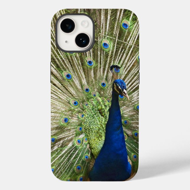 Peacock Display Case-Mate iPhone Case (Back)