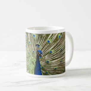 Peacock Display Coffee Mug