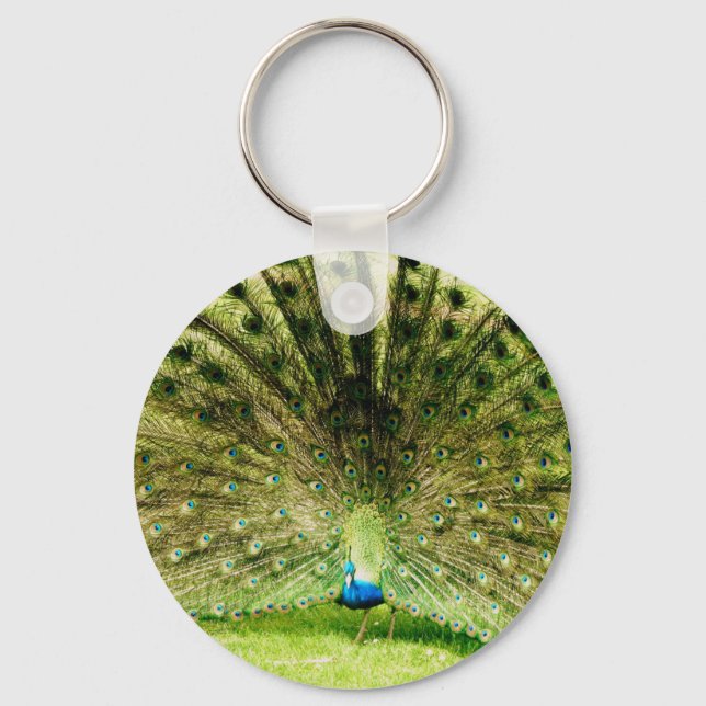 Peacock Display Colors Keychain (Front)