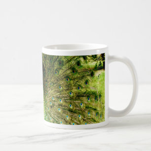 Peacock Display Colours Coffee Mug