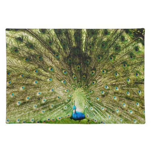 Peacock Display Colours Placemat