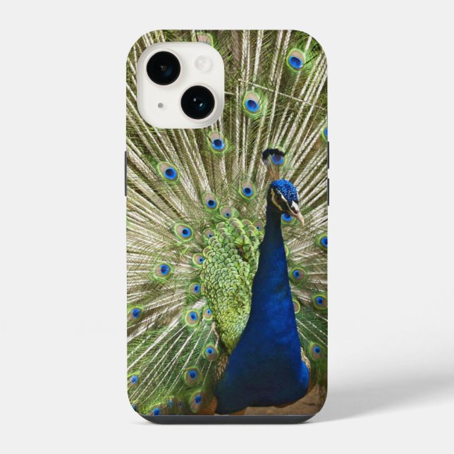 Peacock Display Iphone Case (Back)