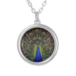 Peacock Display Silver Plated Necklace