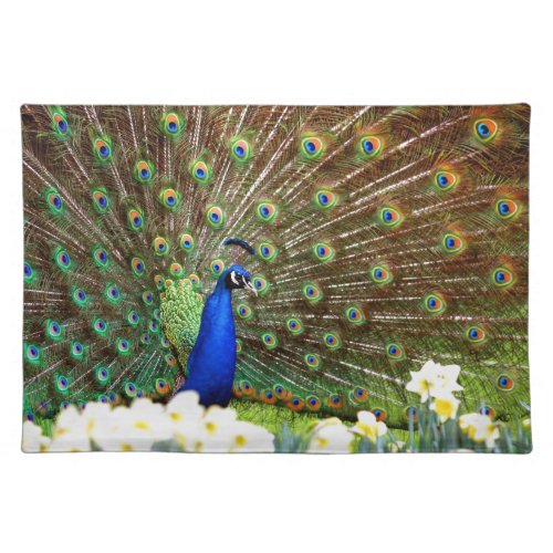 Peacock displays placemat