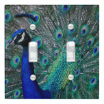 Peacock Double Toggle Light Cover at Zazzle