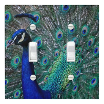Peacock Double Toggle Light Cover by JeanPittenger_7777 at Zazzle
