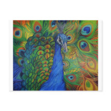 Peacock Drawing