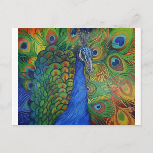 Peacock Drawing Postcard (Front)