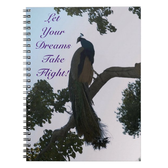 Peacock Dreams Notebook (Front)