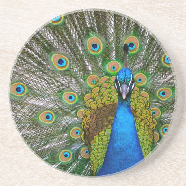 Peacock Drink Coaster (Front)