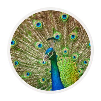 Peacock Edible Frosting Rounds by PixLifeBirds at Zazzle
