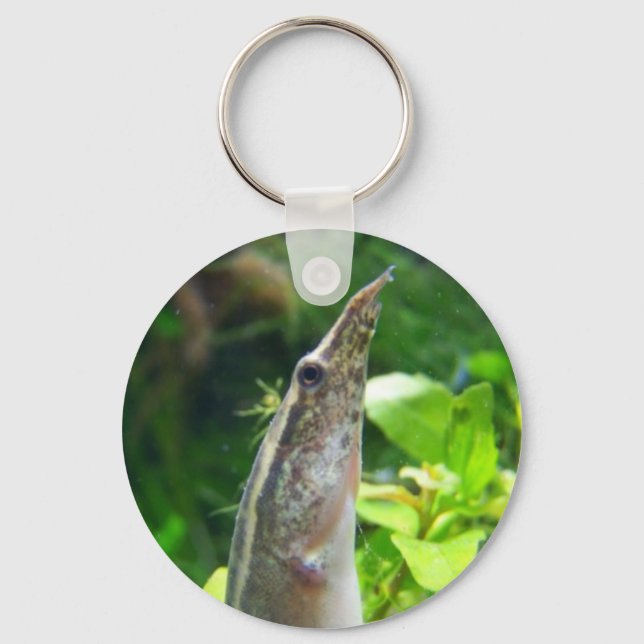 Peacock Eel "Elvis" Keychain (Front)