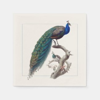 Peacock Elegant Natural History Paper Napkins