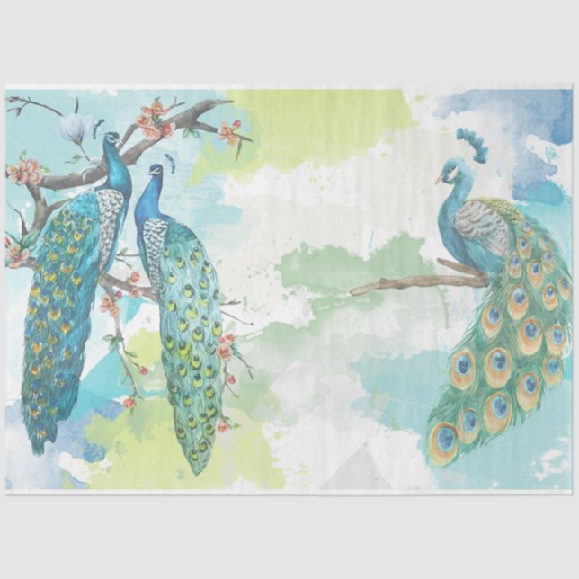 Peacock Ephemera 2 Tissue Paper (Front)