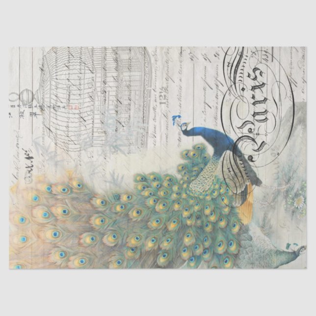 Peacock Ephemera Decoupage Paper (Front)