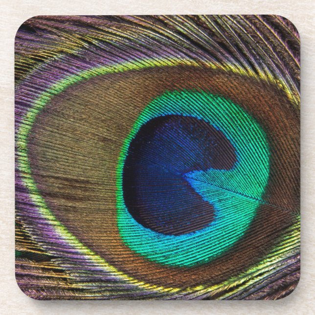 Peacock Eye Feather Beverage Coaster (Front)