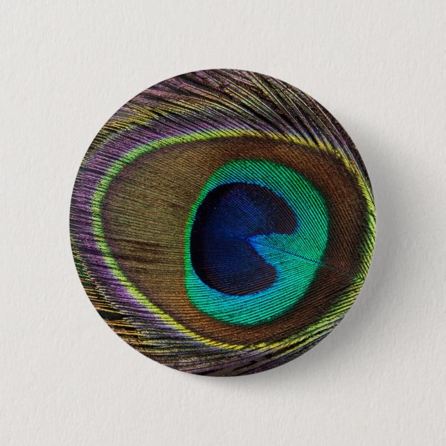 Peacock Eye Feather Pinback Button (Front)