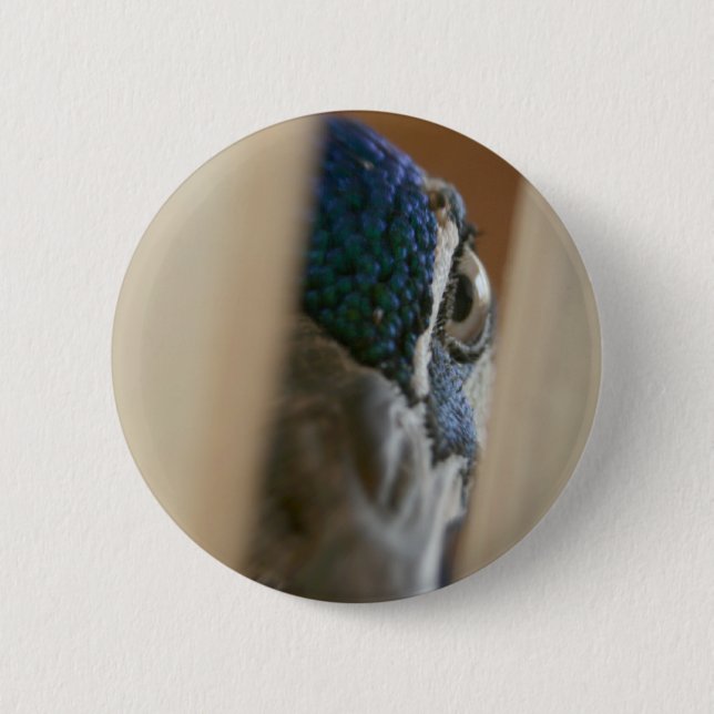 Peacock eye through wooden gate slats button (Front)