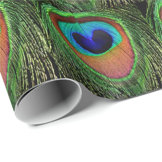 Peacock Eye Wrapping Paper (Roll Corner)