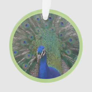 Peacock Face & Feathers Cust. Ornament