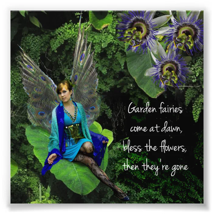 Peacock Fairy Garden E Photo Print Zazzle Com - Fairy Garden Pictures To Print Peacock Fairy Garden E Photo Print Zazzle Com - Fairy Garden Pictures To Print